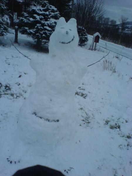 Snow-bear-kangaroo