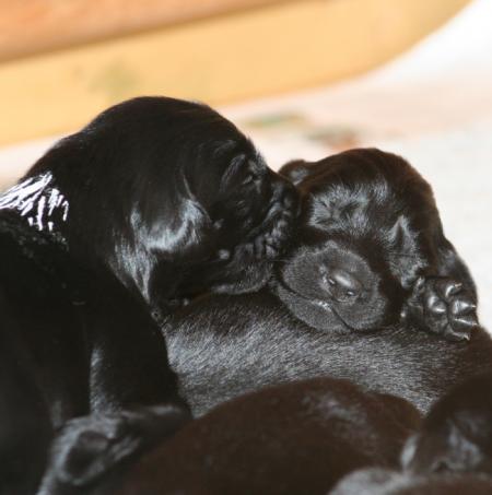 Brother and sister